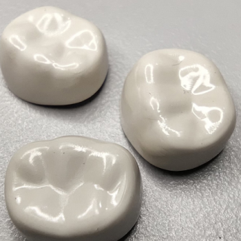 bioflx
